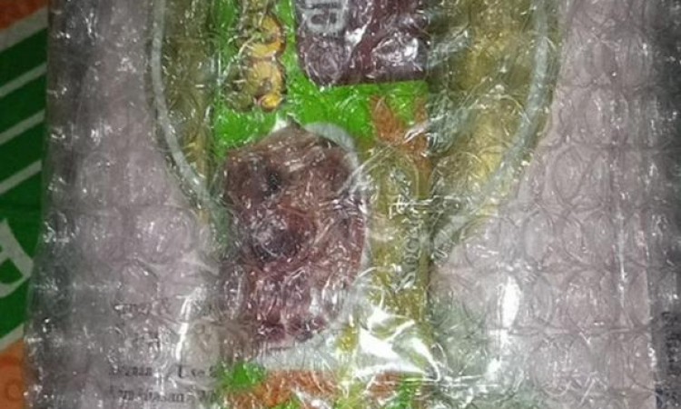 1532. mohamadamirulbinkamaruzaman