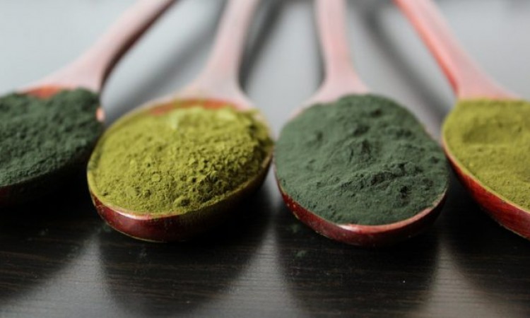 A COMPARISON OF THE BENEFITS OF GREEN TEA AND SPIRULINA A COMPARISON OF THE BENEFITS OF GREEN TEA AND SPIRULINA