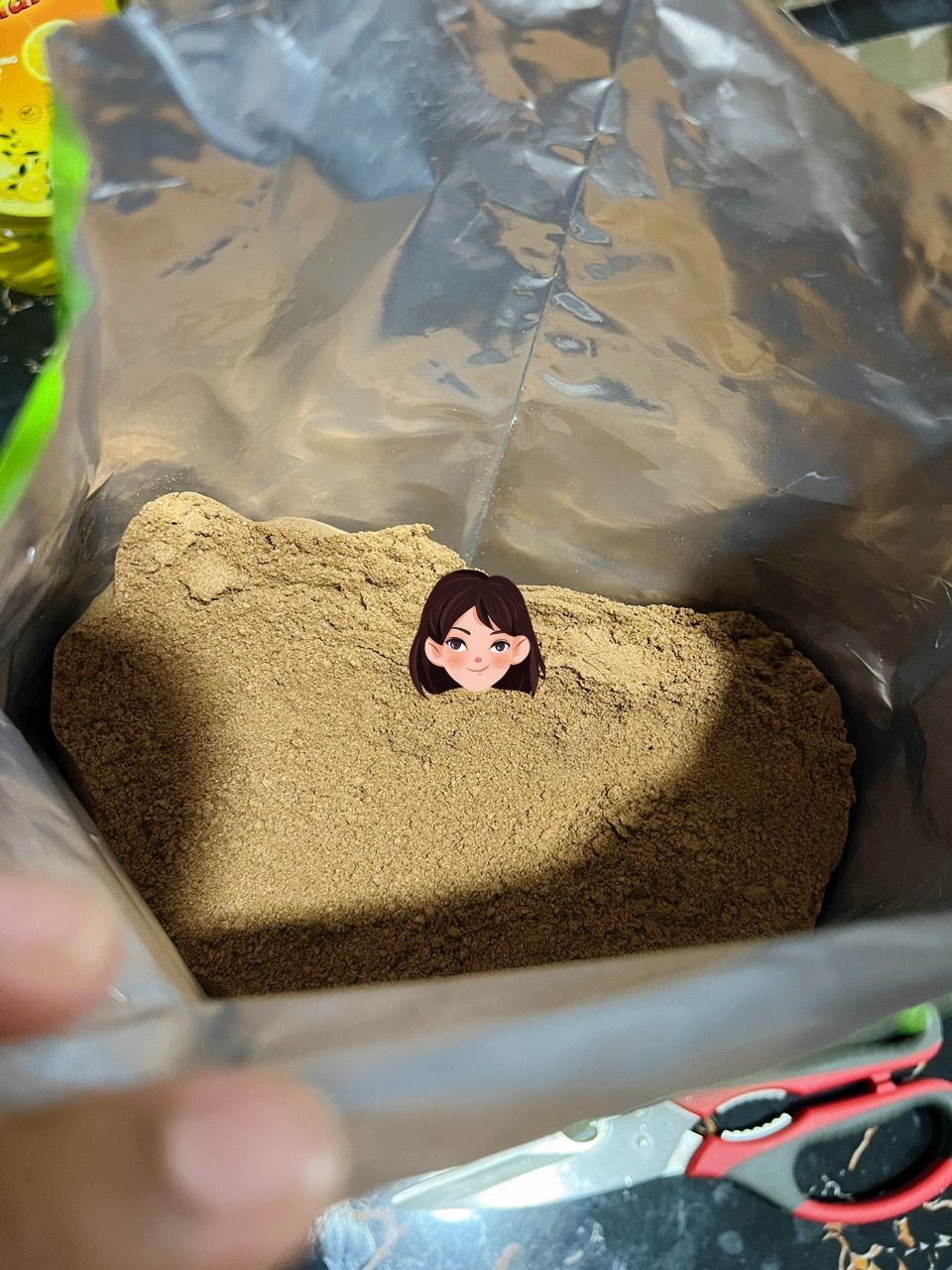 1864. amaliscouture.os