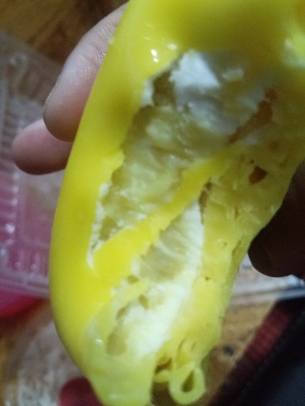 360. nurulrosheilarosli